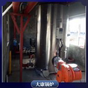 浙江0.5mw导热油炉