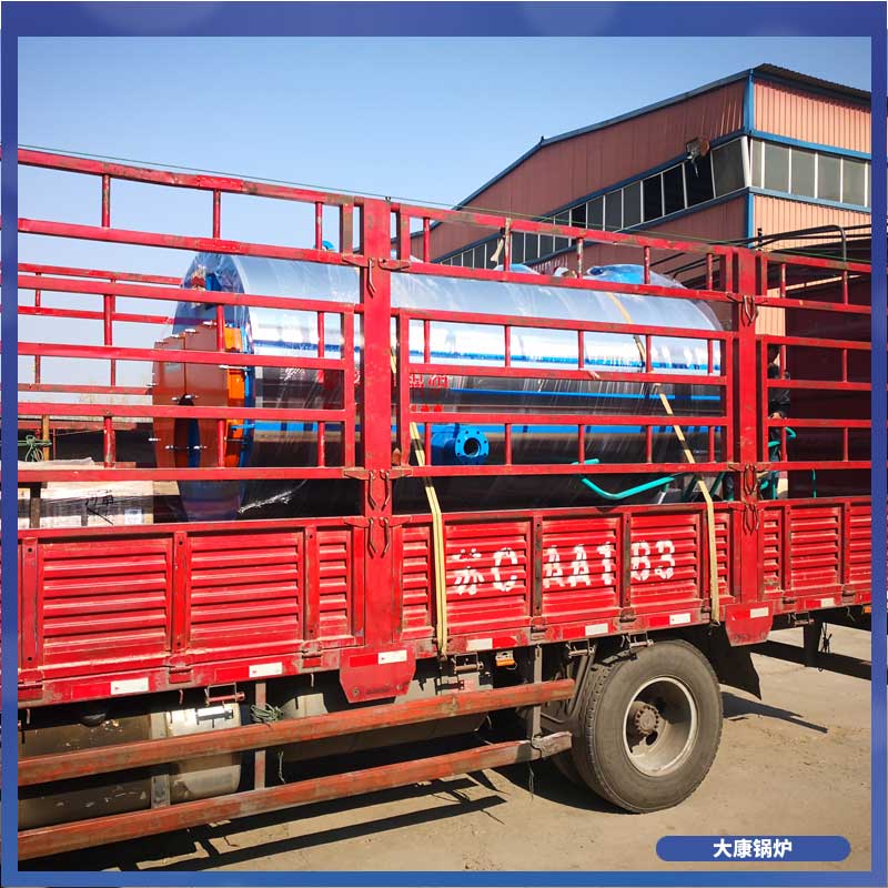 6吨的生物质心博(中国)