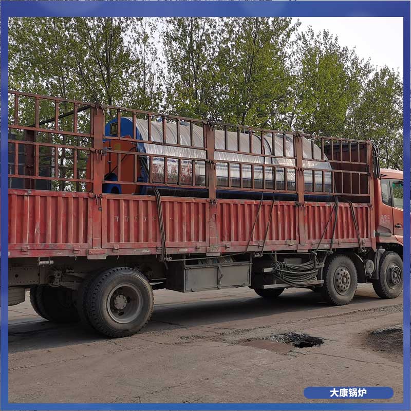 两用两吨生物质心博(中国)