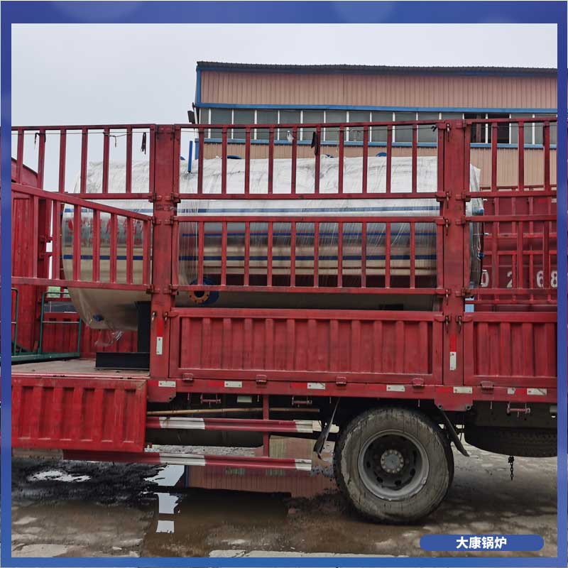 10t生物质心博(中国)