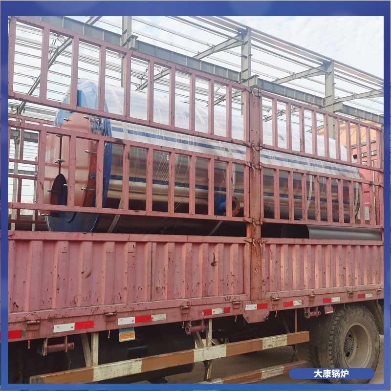 四吨低氮真空心博(中国)