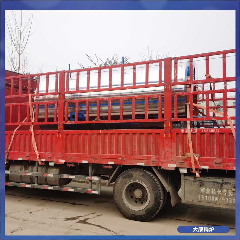 15吨低氮冷凝蒸汽心博(中国)