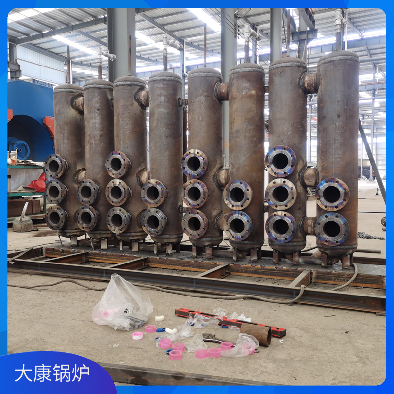 3吨燃生物质心博(中国)