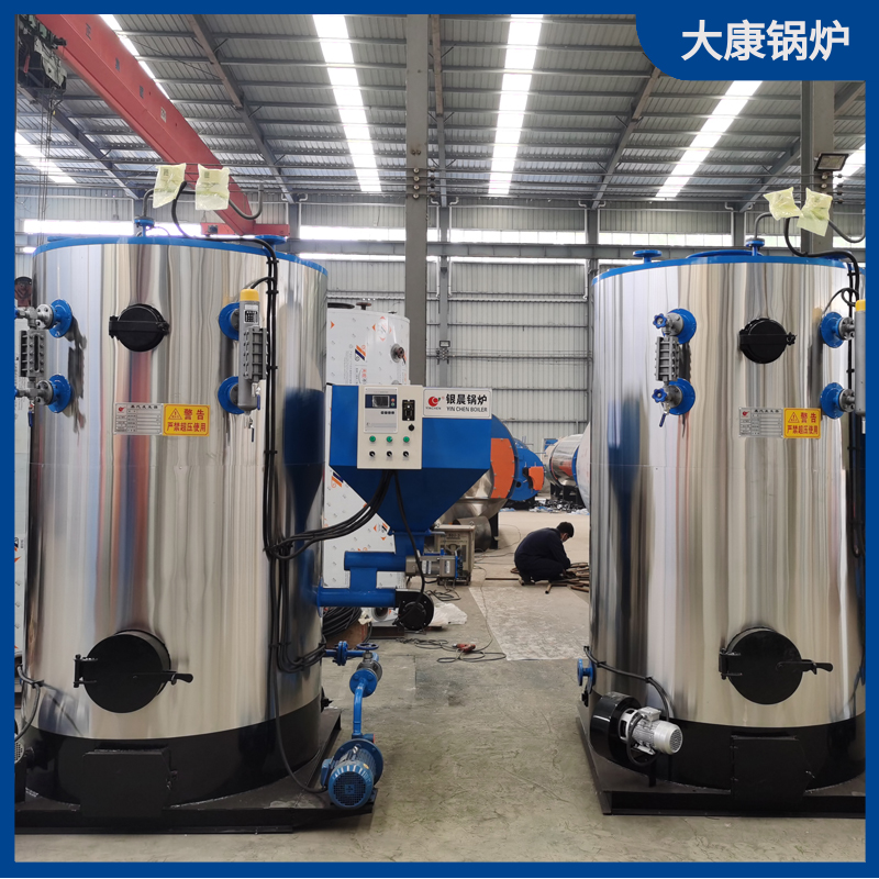 15吨燃生物质心博(中国)