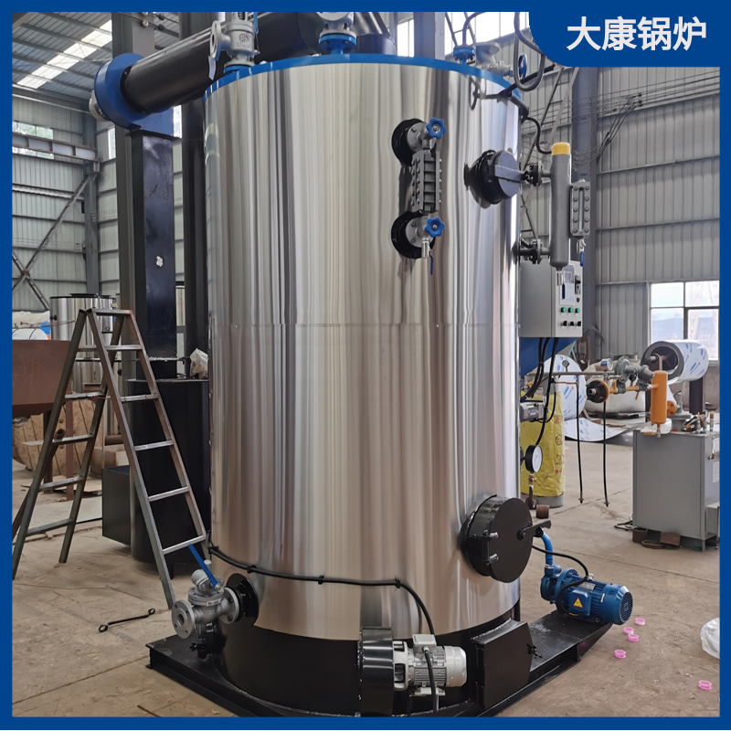 2t生物质蒸汽心博(中国)