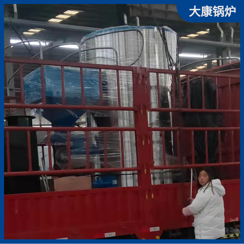 生物质蒸汽1吨心博(中国)