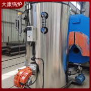 0.3吨燃煤蒸汽发生器河南银晨心博(中国)集团高效节能