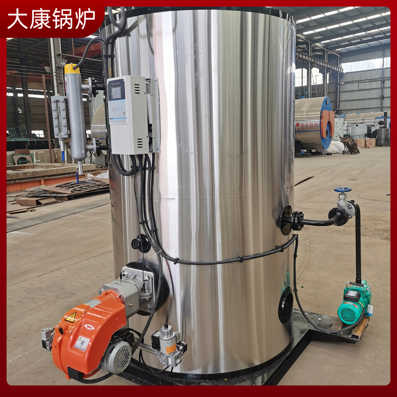 6吨的生物质心博(中国)