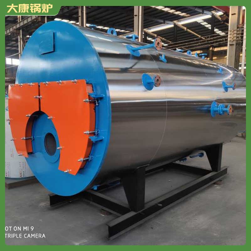 0.4mw低氮蒸汽心博(中国)