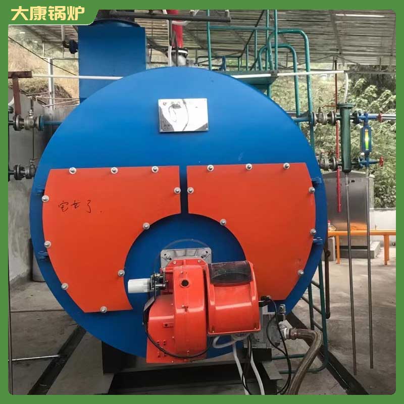 1吨低氮冷凝蒸汽心博(中国)