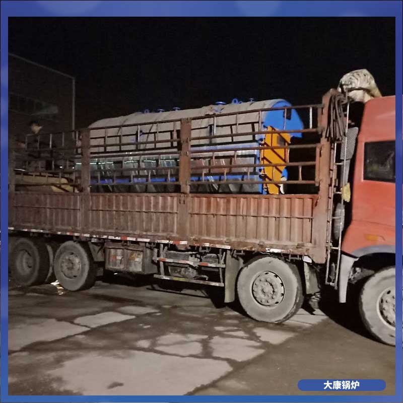 小型生物质导热油心博(中国)