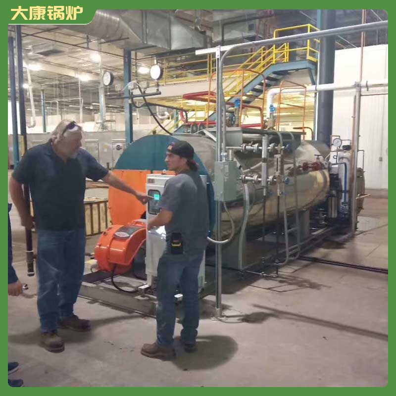 生物质蒸汽心博(中国)价格