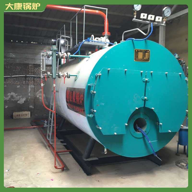 一t燃生物质心博(中国)