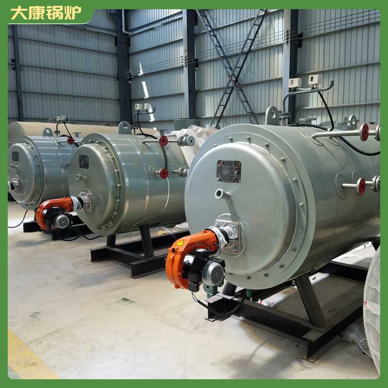 生物质承压热水心博(中国)