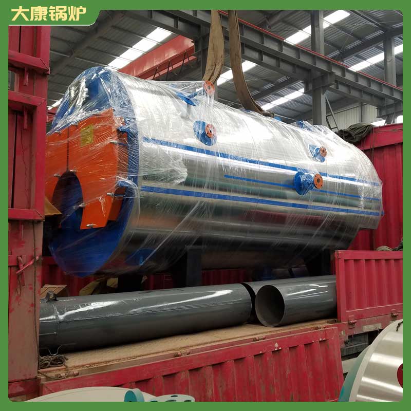 15吨燃生物质心博(中国)