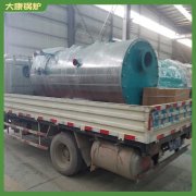 西藏8t低氮真空心博(中国)