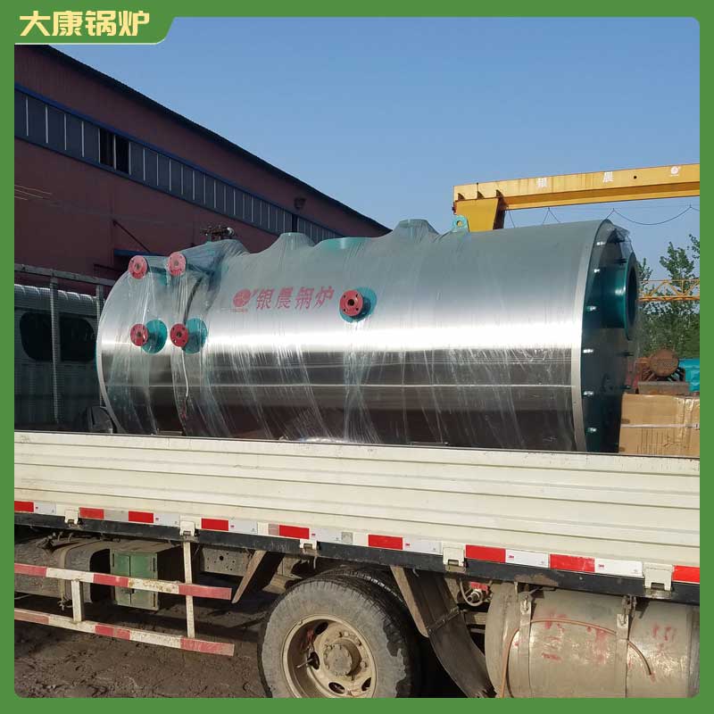 生物质心博(中国)10吨