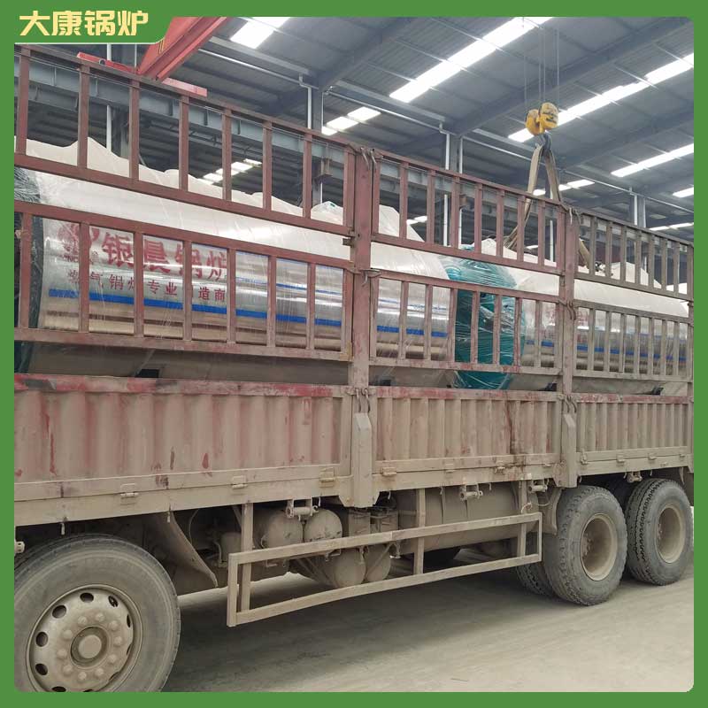 二十吨低氮蒸汽心博(中国)