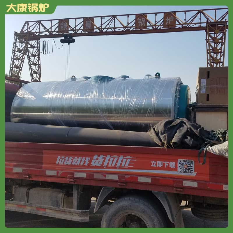 六吨低氮蒸汽心博(中国)