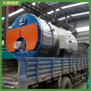 青海6t低氮热水心博(中国)