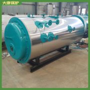 广东0.1吨液化气热水心博(中国)