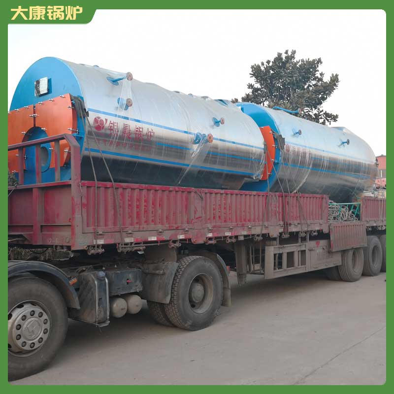 工业半吨生物质心博(中国)