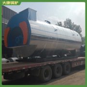 西藏120kw冷凝热水心博(中国)