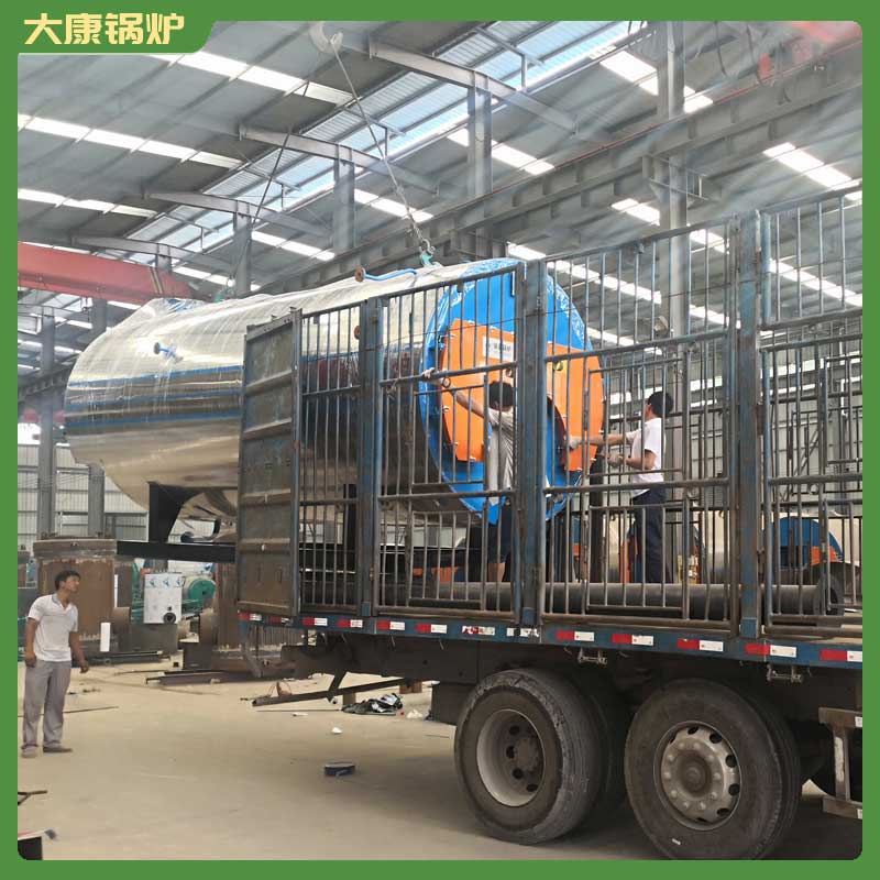 一吨低氮冷凝蒸汽心博(中国)