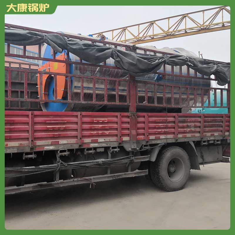 大型生物质蒸汽心博(中国)