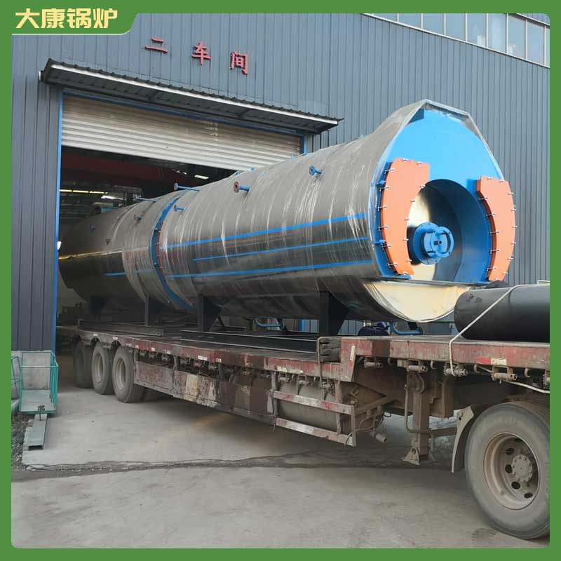 10吨热水生物质心博(中国)