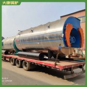 山东12吨液化气热水心博(中国)