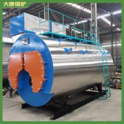 山东5600kw冷凝热水心博(中国)