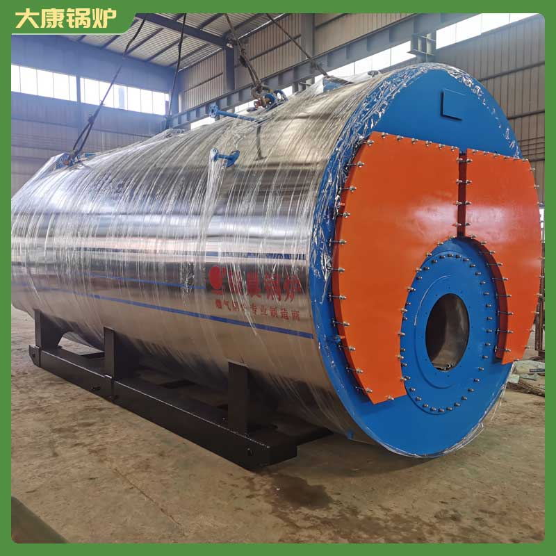 立式生物质蒸汽心博(中国)