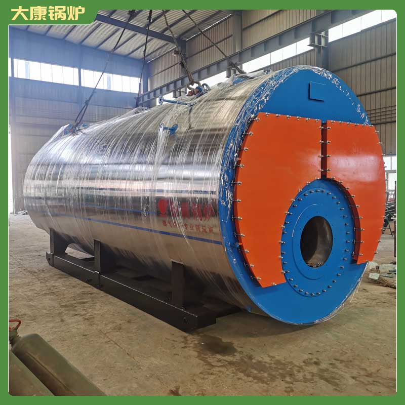 3吨燃生物质心博(中国)