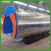 北京YYQW-1800低氮心博(中国)