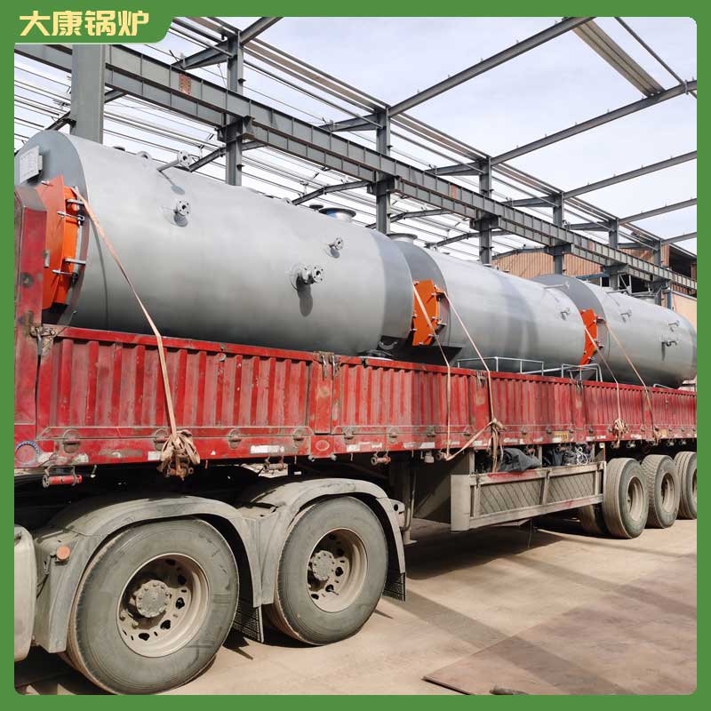 1t/h生物质心博(中国)