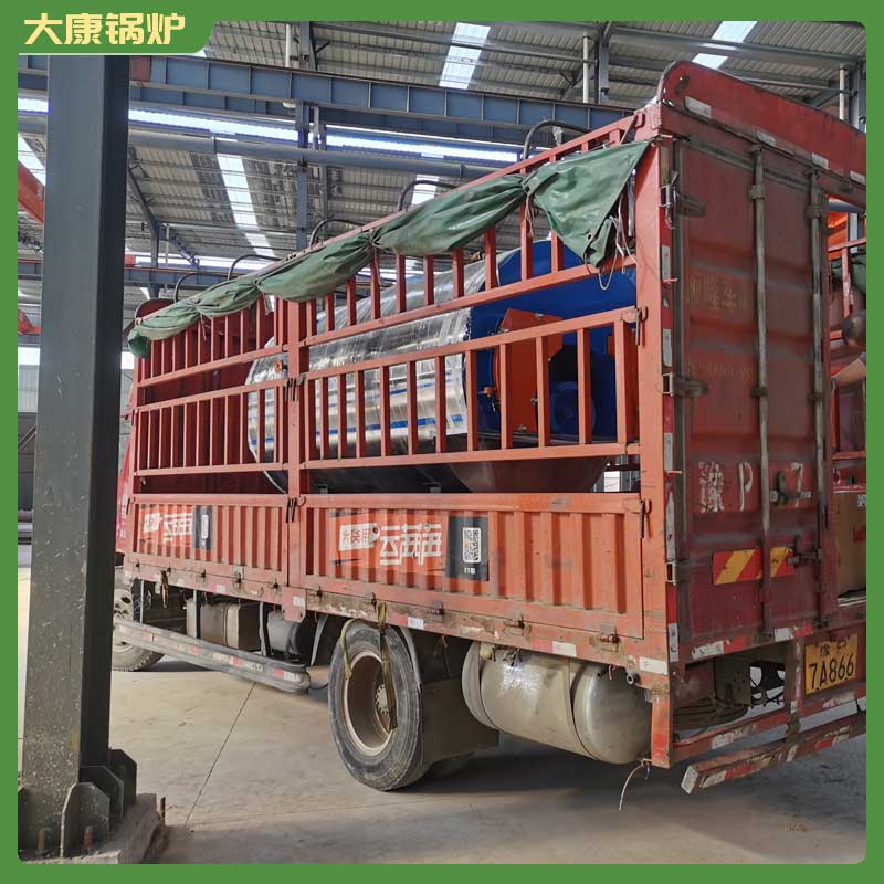 八吨低氮蒸汽心博(中国)