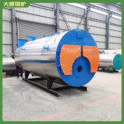 15吨冷凝燃油心博(中国)太康县银晨心博(中国)有限公司