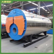 小型蒸汽心博(中国)多少钱15吨多少钱能买