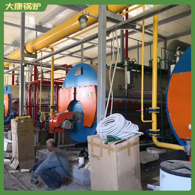 4吨生物质生物质心博(中国)