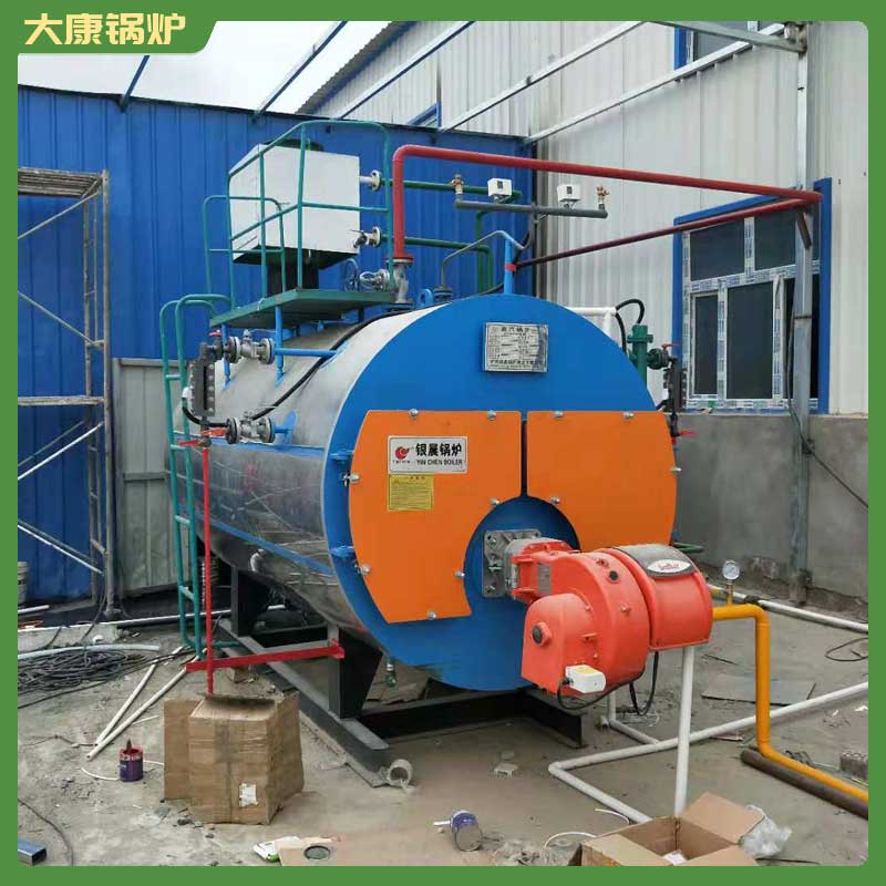 20蒸吨 生物质心博(中国)