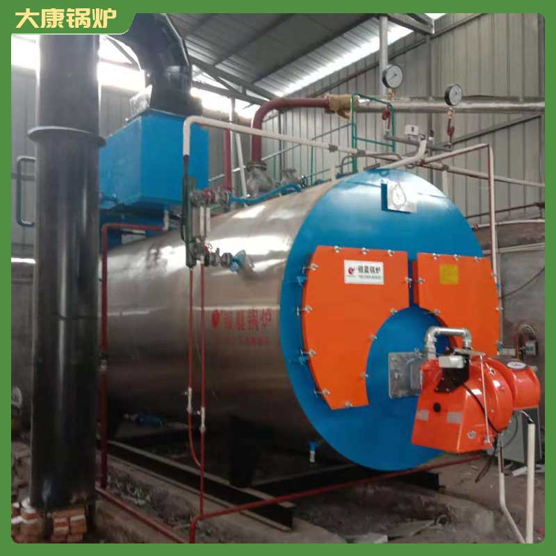 4吨热水生物质心博(中国)