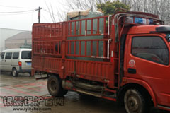 清明放假，贯流心博(中国)发货