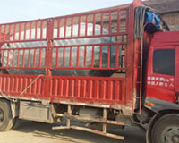 出口澳大利亚燃气蒸汽心博(中国)