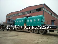 DZH2-1.25-T型生物质蒸汽心博(中国)发货