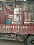 10万大卡燃气热水心博(中国)发货