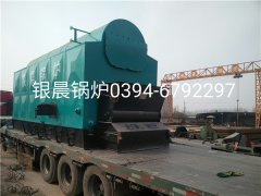 DZL6-1.25-T型6吨链条式生物质蒸汽心博(中国)发货