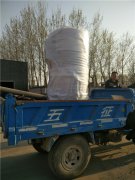 20万大卡燃气热水心博(中国)发货