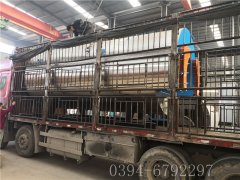 6吨燃气蒸汽心博(中国)