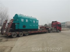 4吨链条生物质蒸汽心博(中国)